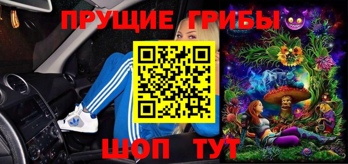 Печора  Псилоцибиновые грибы MAGIC MUSHROOMS  Вход с VPN  Псилоцибиновые грибы GOLDEN TEACHER 